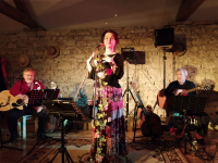 Concert Ziva